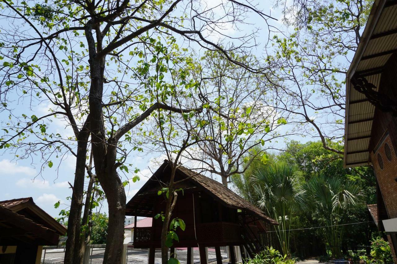 Insight Albergue Chiang Mai