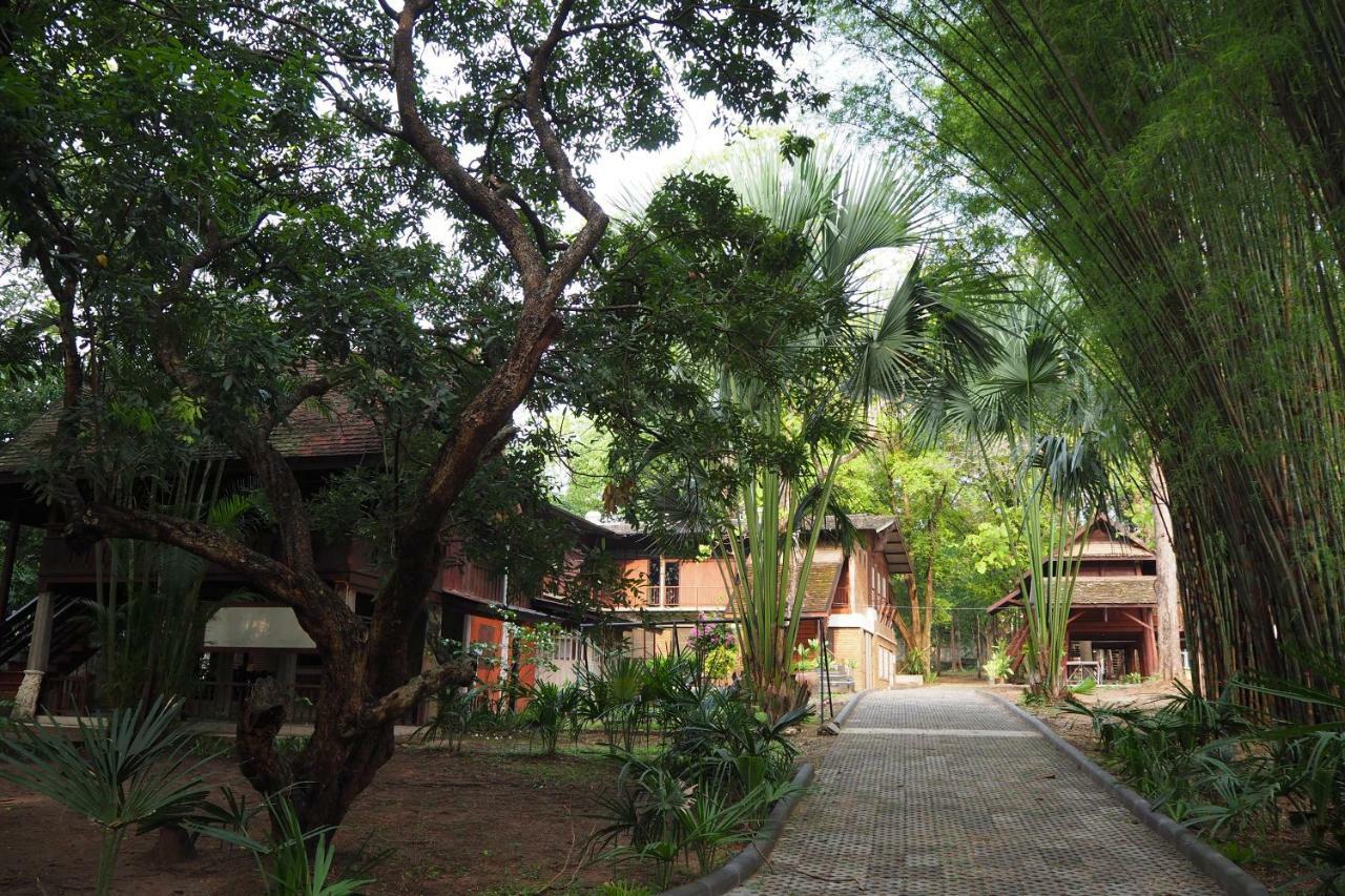 Insight Albergue