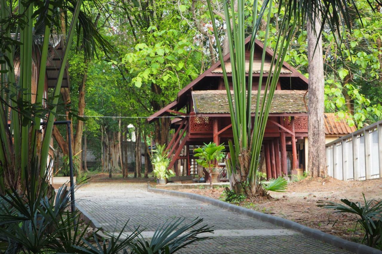 Albergue Insight